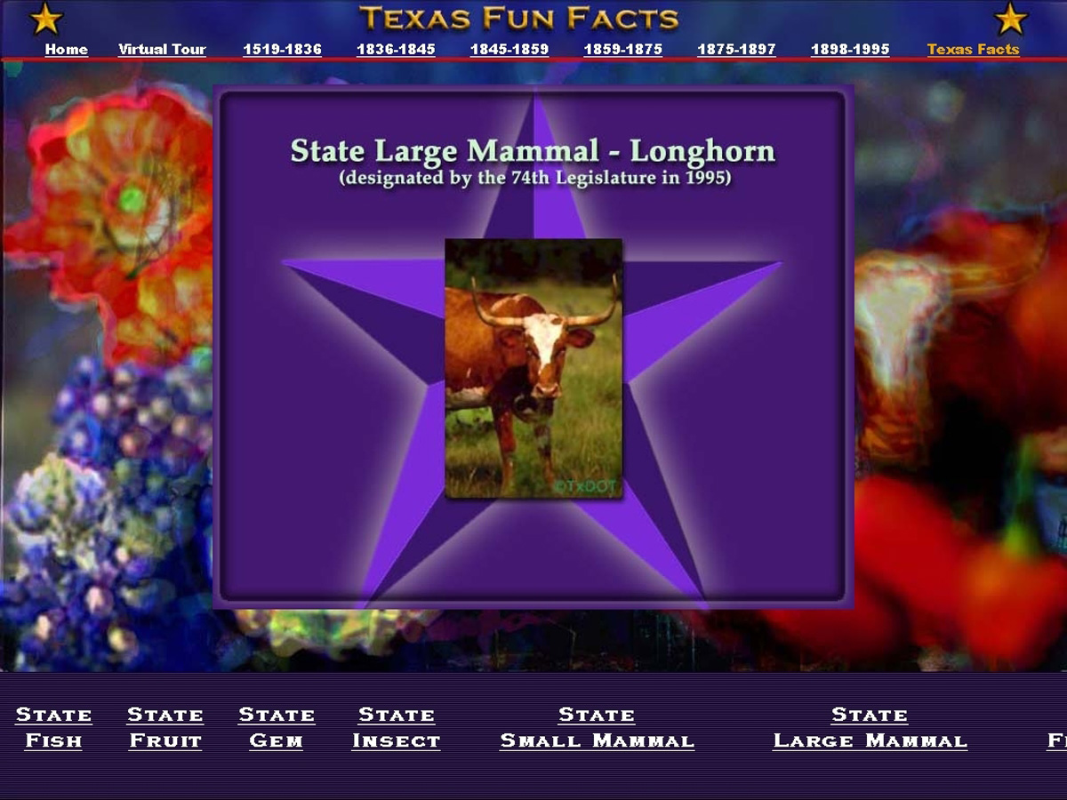 Texas Capitol Visitors Center interactive graphics